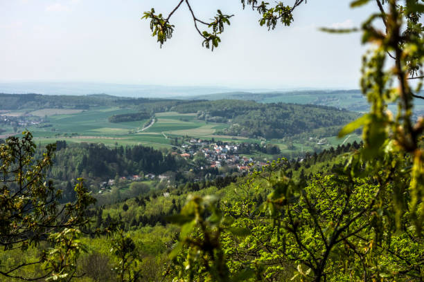 istock Spring in the Taunus mountains 1467947674