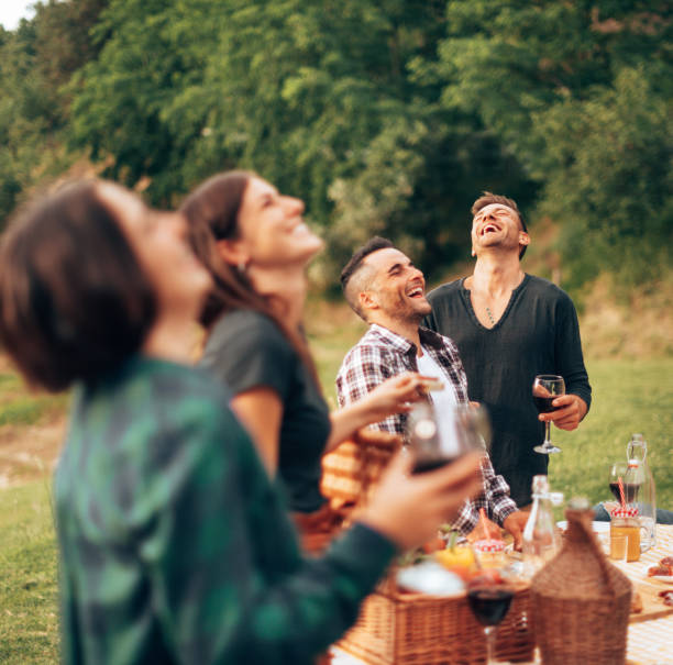 istock friends toasting at the picnic 1467949269