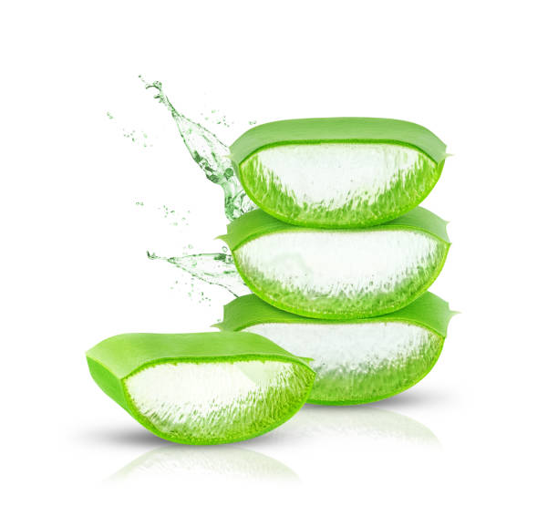 istock Aloe Vera leaf isolated on white background. 1467950060