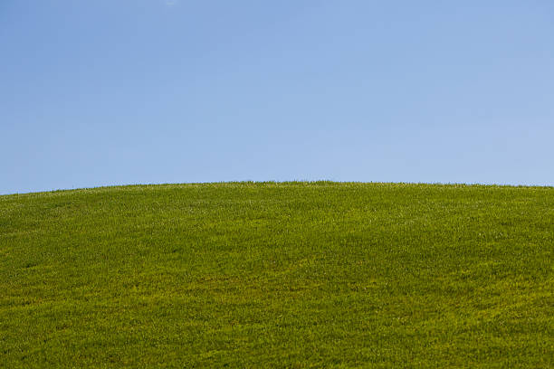 Grassy Hills Beautiful small grassy hills under perfect blue sky day. grass area stock pictures, royalty-free photos & images