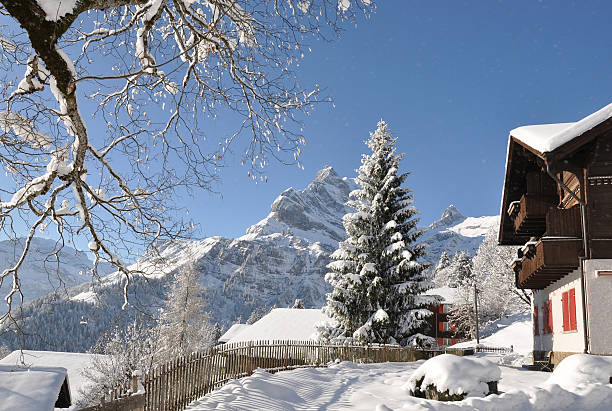 istock Majestic Alpine view. Switzerland 146795404