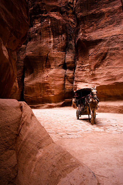 istock Carriage with horse in Siq - Petra 146795559