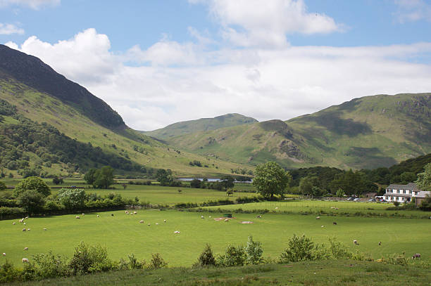 istock Lake District landscape on a sunny day 146795588