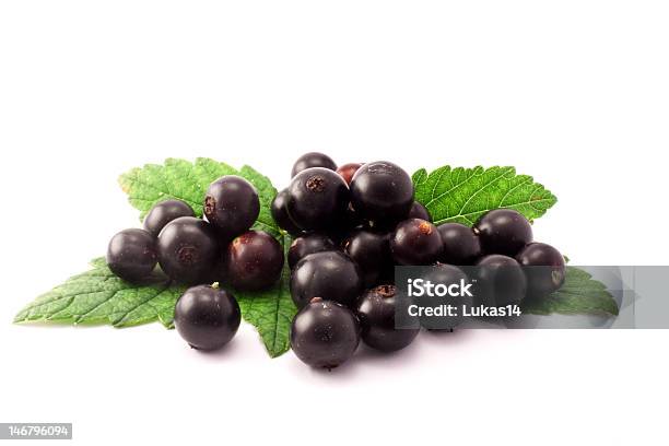 Ribes Nero Isolati Su Sfondo Bianco - Fotografie stock e altre immagini di Alimentazione sana - Alimentazione sana, Bianco, Brillante