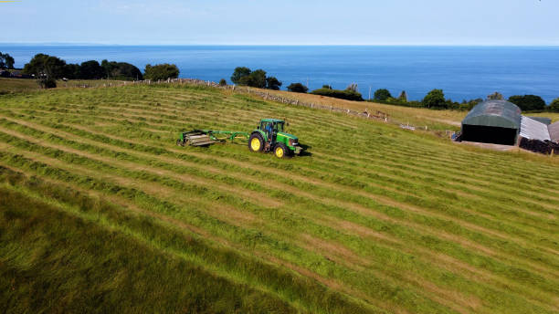 john deere 6920 tracteur et tondeuse coupant de l’herbe pour l’ensilage dans une ferme au royaume-uni - tractor farm uk agriculture photos et images de collection