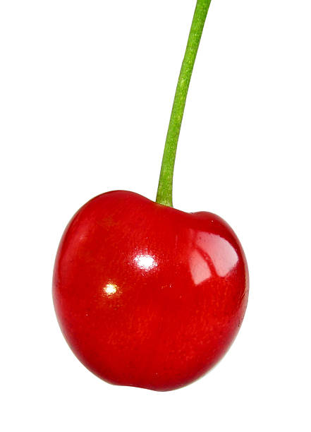 Cherry stock photo