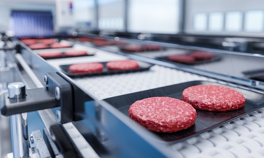Conveyor in a factory of ready-made beef hamburger cutlets - a modern ecological bio-print meat factory