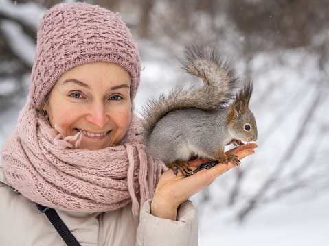 Girl feeds a squirrel with nuts at winter. Squirrel eats nuts from the girls hand. Caring for animals in winter or autumn.