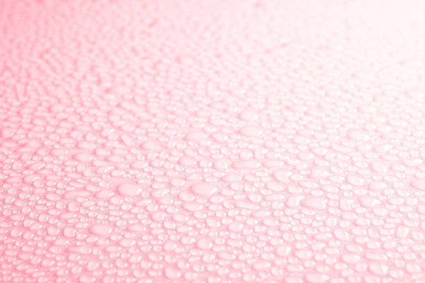 istock Beautiful drops of water 146796649