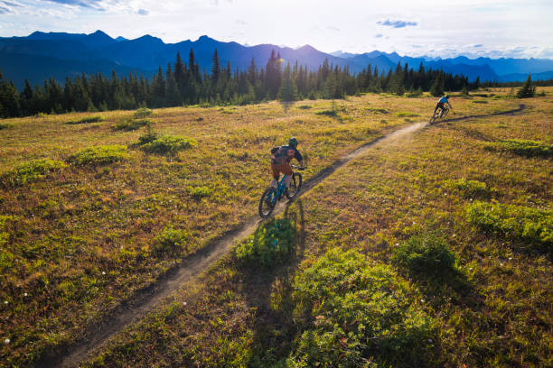 istock Mountain Bike Wheelie 1467966636
