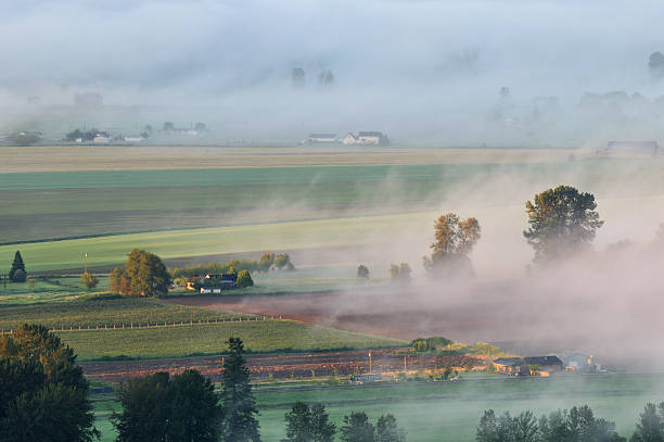 istock Fraser Valley at foggy sunrise 146797152