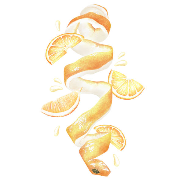 Composition with peeled lemon and slices. Juicy fruit. Watercolor illustration. Isolated on a white background. For your design stickers, nature prints, product packaging with citrus acid or scent Composition with peeled lemon and slices. Juicy fruit. Watercolor illustration. Isolated on a white background. For your design stickers, nature prints, product packaging with citrus acid or scent. citron stock illustrations