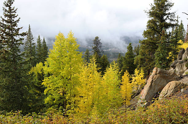 Aspen Path Sundance Utah, near Robert Redfords Property.