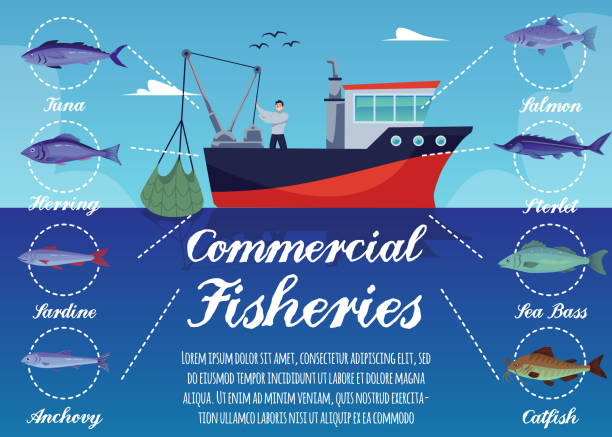 postervorlage für kommerzielle fischereiunternehmen flache vektorillustration. - fishermen harbor stock-grafiken, -clipart, -cartoons und -symbole