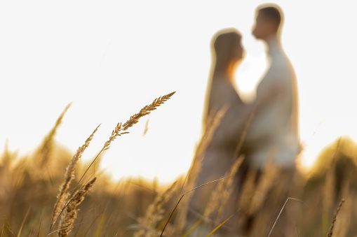 Silhouette of a couple lovers are hugging in the meadow at sunset on summer day. Man and woman holding hands in wheat field. Love, youth, happiness concept. Valentine's day. copy space.