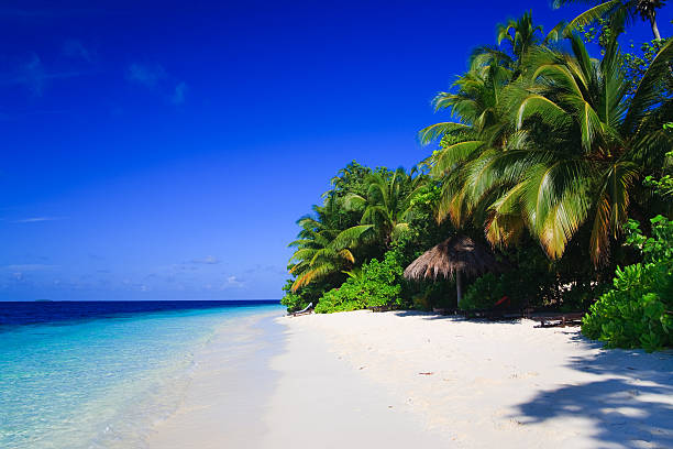 istock tropical paradise at maldives 146798455