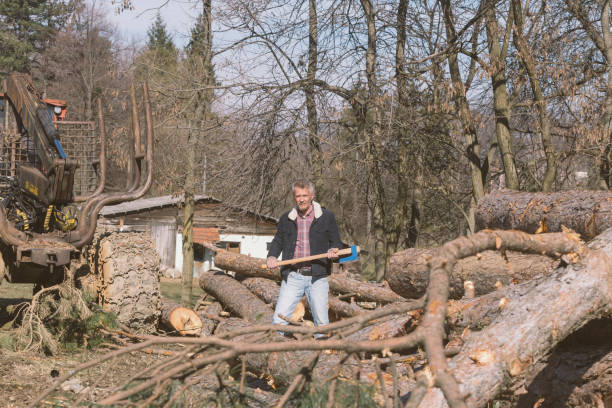 istock Lumber small business 1467985159