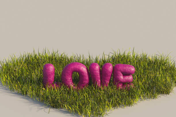 Inflated Love Text On Lawn Heart