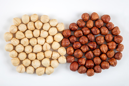 Group of shelled and peeled hazelnuts on a white background