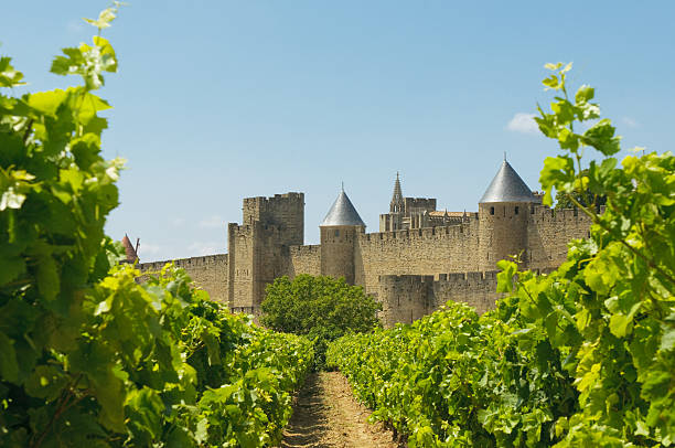 istock Medieval town of Carcassonne and vineyards 146798870