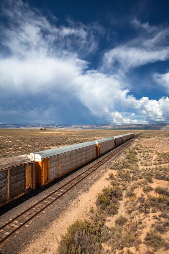 Freight train transports cargo containers across the track