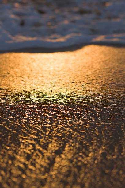istock Gentle Surf on Golden Sand 146798959