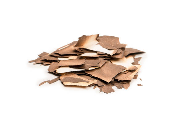 Burnt paper isolated on a white background. Copy space.