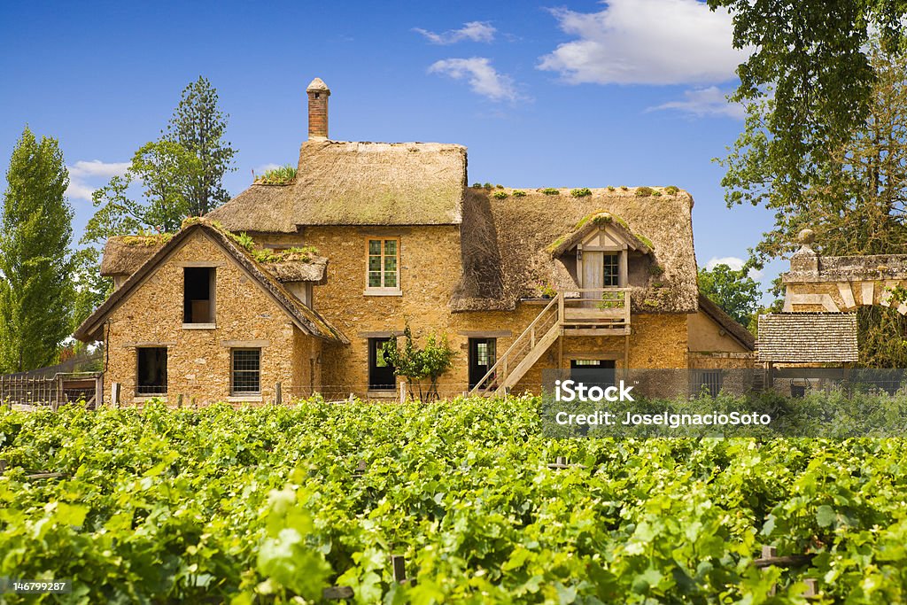Old farm detrás de una vineyard - Foto de stock de Francia libre de derechos