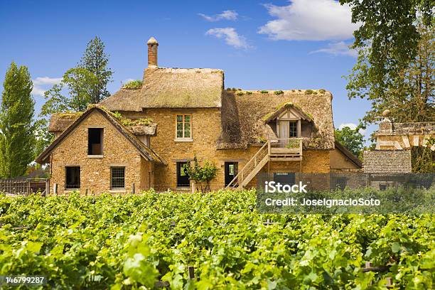 Old Farm Detrás De Una Vineyard Foto de stock y más banco de imágenes de Francia - Francia, Casa rural, Cultura francesa