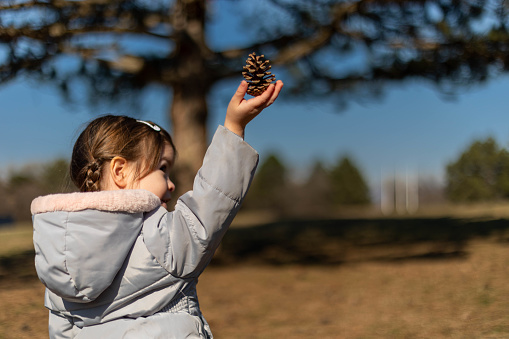 The little girl is in the forest. She is playing with the pine cone, and showing it around.