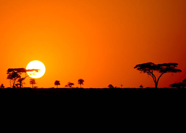 Beautiful african landscape, Serengeti, Tanzania stock photo