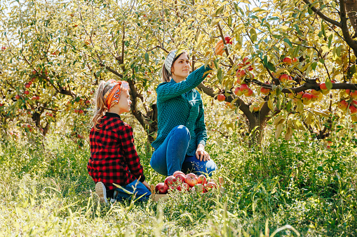 The crisp autumn air and stunning fall colors provide the perfect backdrop for this family as they enjoy a day of apple picking, bonding, and togetherness in the great outdoors.