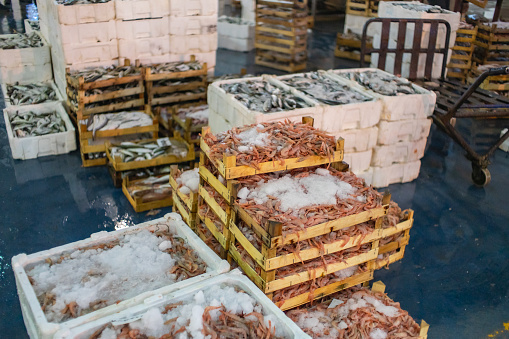 View of prawns in sales in central fish market.