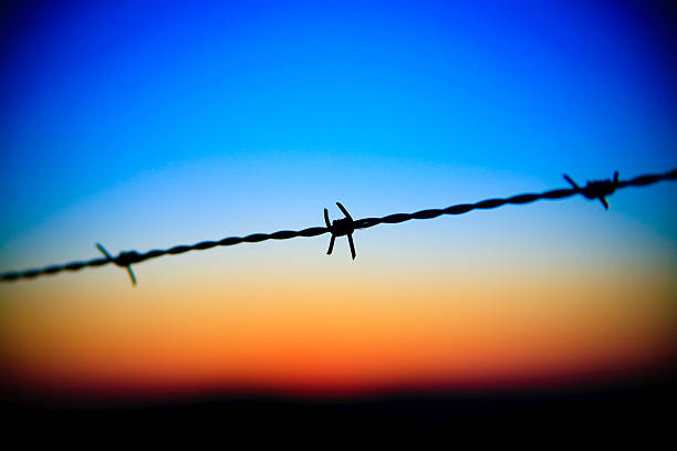 istock close-up of barbed wire dripping on sunset sky 146799671