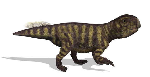 3D render of a psittacosaurus (meaning \