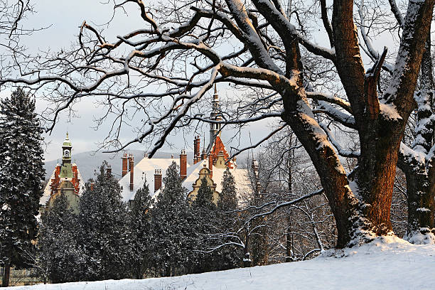 istock castle in winter, Transcarpathian region, Ukraine 146800689