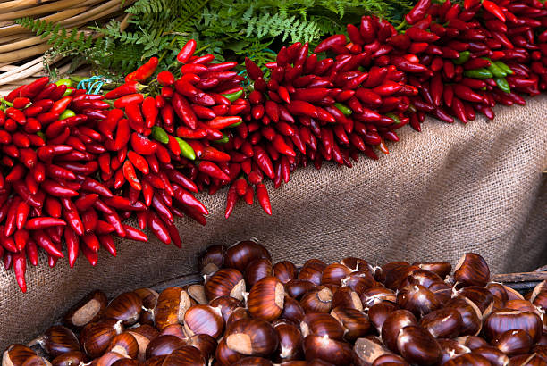 Red Hot Peppers and Chestnut, Autumn Scene