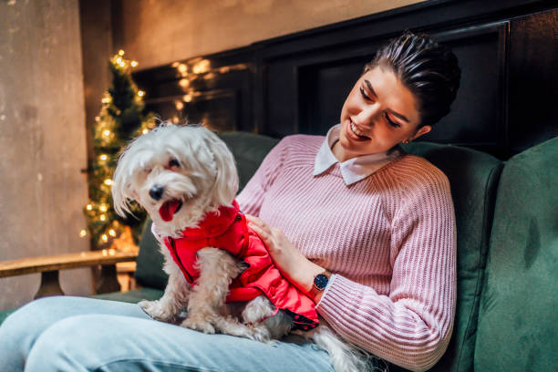 istock Woman with her cute Maltese dog 1468016968