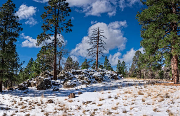 istock Snow Covered Rock Formation on Campbell Mesa 1468018510