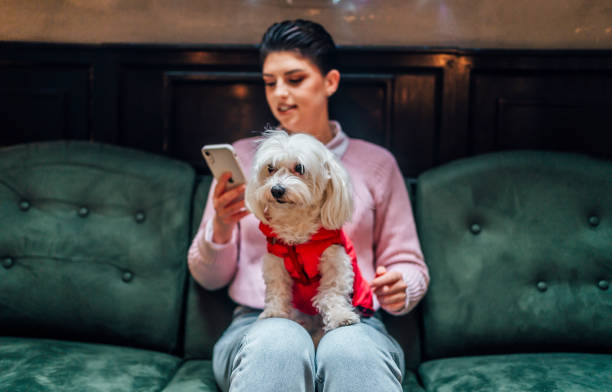 istock Woman with her cute Maltese dog 1468018879