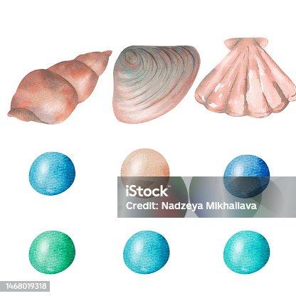 istock Set with watercolor illustrations of seashells isolated on white background. 1468019318