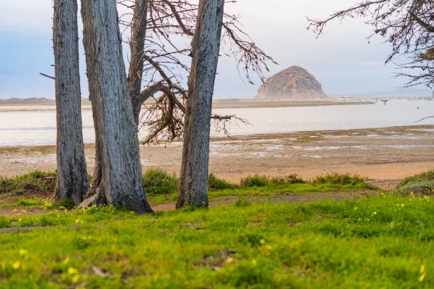 istock Morro Rock in the Distance 1468020307