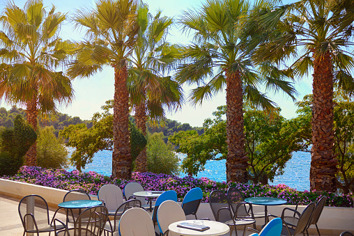 Sunny view of caffe , Coconut palm trees by the Adriatic Sea  , Porec location on Istrian Peninsula in western Croatia
