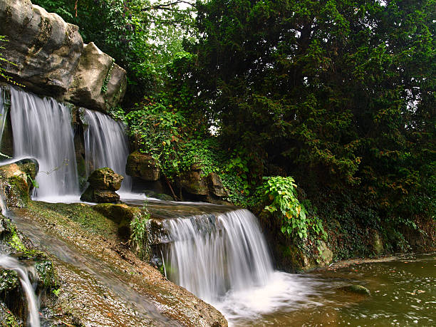 Bois de Bologne - foto stock