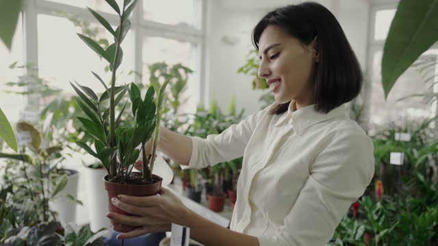 Woman takes care of plants