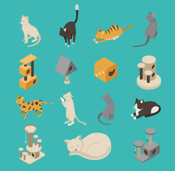 Vector illustration of Cats and Cat Houses Isometric Vector Set