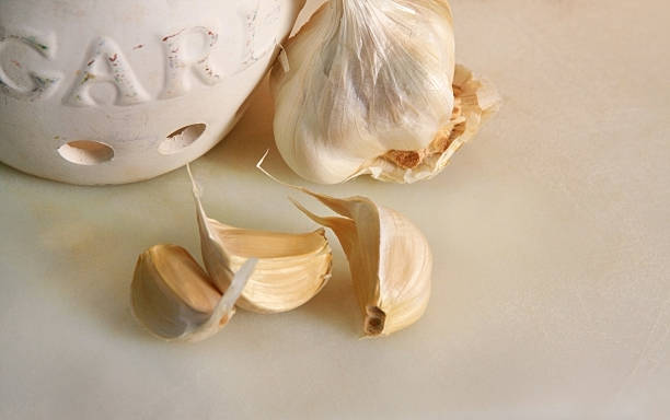 fresh garlic stock photo