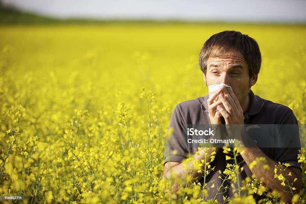 Man suffering from pollen allergy Young man in yellow canola field blowing his nose and suffering from pollen allergy. Adult Stock Photo