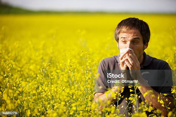 Man Suffering From Pollen Allergy Stock Photo - Download Image Now - Adult, Adults Only, Agricultural Field