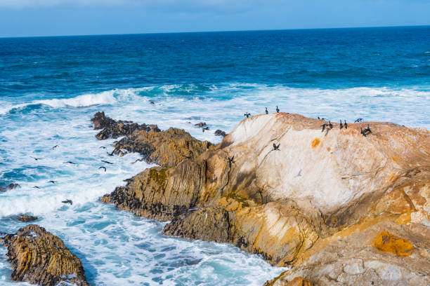 istock Montana de Oro State Park Hiking Views 1468027659